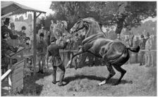 Sale of Hunters Raising and objection, 1885