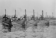 SALEM, GRAYLING, TARPON, OCTOPUS, BONITA, and NEBRASKA, 1911. Creator: Bain News Service