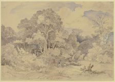 Salesius Hill near Teplitz in Bohemia, 1841. Creator: Ludwig Richter