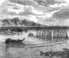 Salmon-fishing on the River Tay: the stake-net, 1862. Creator: Unknown
