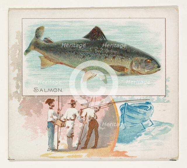 Salmon, from Fish from American Waters series (N39) for Allen & Ginter Cigarettes, 1889. Creator: Allen & Ginter.