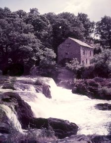 Salmon leap at Cenarth, Carmarthen, c1955. Creator: Arthur Charles Kirby Ware