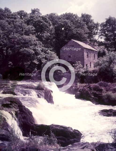 Salmon leap at Cenarth, Carmarthen, c1955.  Creator: Arthur Charles Kirby Ware.
