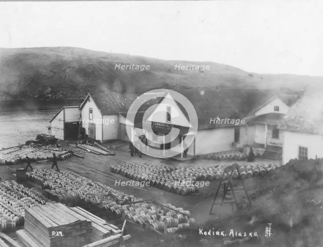 Salmon works, between c1900 and c1930. Creator: Unknown.
