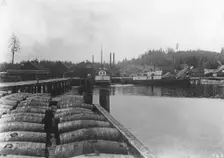 Salmon works, between c1900 and c1930. Creator: Unknown