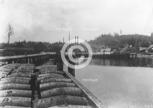 Salmon works, between c1900 and c1930. Creator: Unknown.