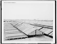 Salt industry, Syracuse, N.Y., (1905?). Creator: Unknown