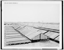 Salt industry, Syracuse, N.Y., (1905?). Creator: Unknown