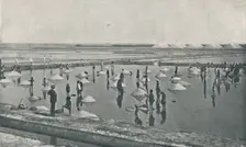 Salt-Making in Rajputana c1900, (1910). Artist: Henry Lansdell