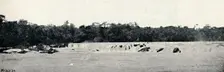Salto Grande (Rio Paranapanema) 1895. Artist: Francisco Henszler
