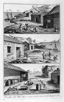 Salting, washing, packing sardines, 1751-1777