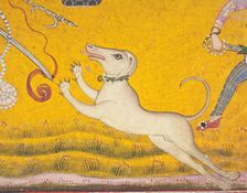Saluki dog in Battling Elephants (image 5 of 6), c1700. Creator: Unknown
