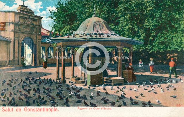 'Salut de Constantinople - Pigeons au Cour d'Eyoub', c1900. Artist: Unknown.