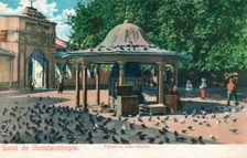 Salut de Constantinople - Pigeons au Cour d'Eyoub c1900