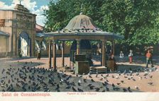 Salut de Constantinople - Pigeons au Cour d'Eyoub c1900