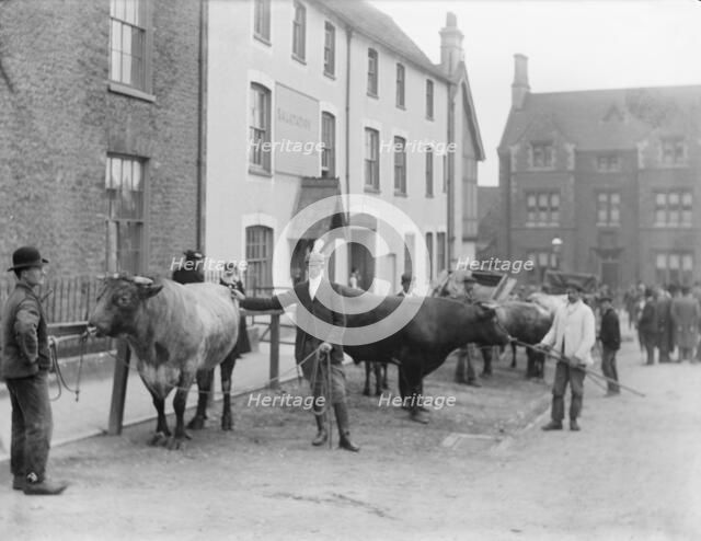 Salutation Inn, Faringdon, Oxfordshire, 1904. Artist: Henry Taunt