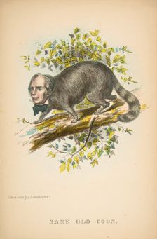 Same Old Coon (Henry Clay), from The Comic Natural History of the Human Race, 1851. Creators: Henry Louis Stephens, L. Rosenthal