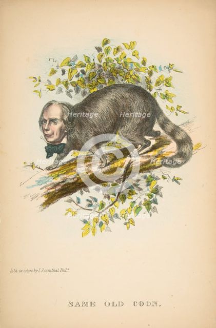 Same Old Coon (Henry Clay), from The Comic Natural History of the Human Race, 1851. Creators: Henry Louis Stephens, L. Rosenthal.
