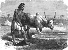 Samhar peasant at a well; A journey through Soudan and Western Abyssinia..., 1875. Creator: Unknown