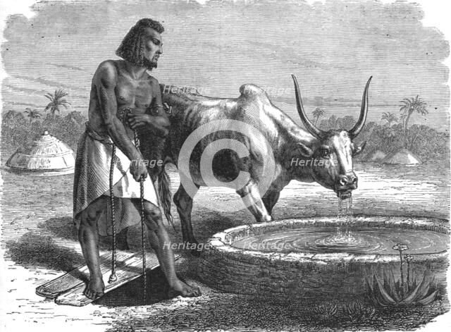 'Samhar peasant at a well; A journey through Soudan and Western Abyssinia..., 1875. Creator: Unknown.