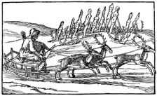 Samoyed travelling on a sleigh pulled by reindeer, late 16th-early 17th century