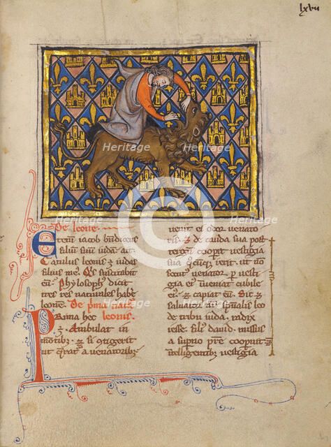 Samson Wrestling with the Lion; Bestiary, about 1270. Creator: Unknown.