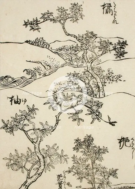 Samples of Three Tree Types for Artists, 19th century. Creator: Shinsai.