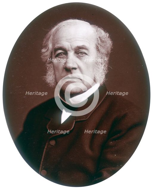 Samuel Morley, MP, industrialist and politician, 1882. Creator: Lock & Whitfield.