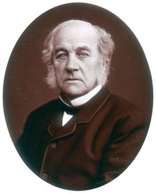 Samuel Morley, MP, industrialist and politician, 1882. Creator: Lock & Whitfield