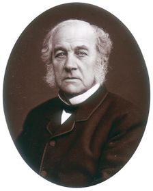 Samuel Morley, MP, industrialist and politician, 1882. Creator: Lock & Whitfield