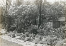 Samuel Hills Taft House, 3329 Morrison Avenue, Clifton, Ohio, 1922. Creator: Frances Benjamin Johnston