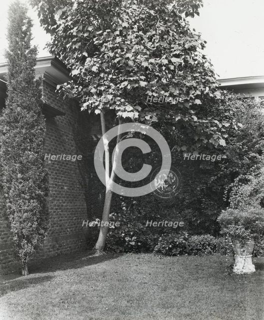 Samuel Longstreth Parrish Art Museum, 25 Jobs Lane, Southampton, New York, c1915. Creator: Frances Benjamin Johnston.