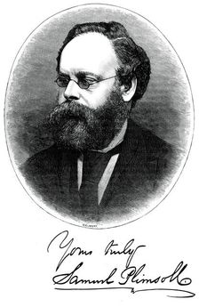 Samuel Plimsoll, British politician and social reformer, c1880. Creator: Moritz Klinkicht