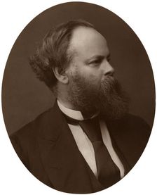 Samuel Plimsoll, Esq, MP, British Liberal politician and social reformer, 1876. Creator: Lock & Whitfield