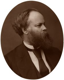 Samuel Plimsoll, Esq, MP, British Liberal politician and social reformer, 1876. Creator: Lock & Whitfield