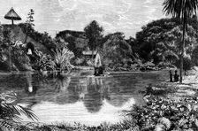 San Miguel, Tenerife, Canary Islands, Spain, 1985