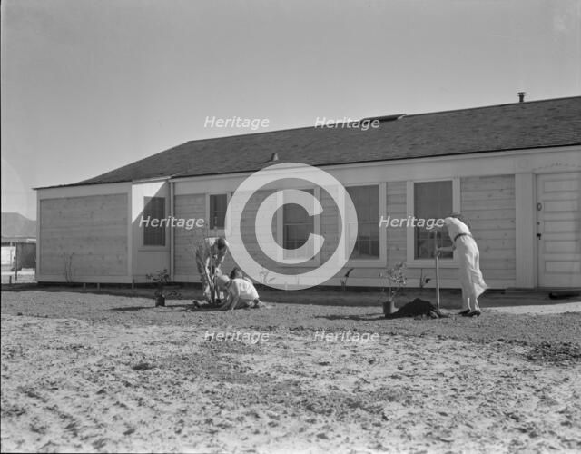 San Fernando federal subsistence homesteads, California, 1936. Creator: Dorothea Lange.