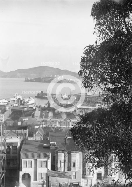 San Francisco view from residence of Mr. Bertram Alanson, between 1927 and 1942. Creator: Arnold Genthe.
