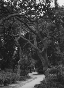 San Francisco views, 1927 Creator: Arnold Genthe