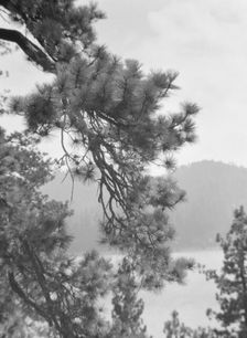 San Francisco views, 1927 Creator: Arnold Genthe