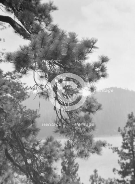 San Francisco views, 1927 Creator: Arnold Genthe.