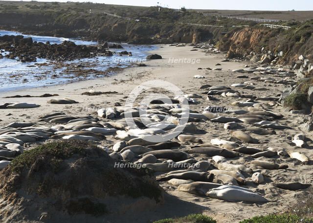 San Simeon, California, USA, 2022. Creator: Ethel Davies.
