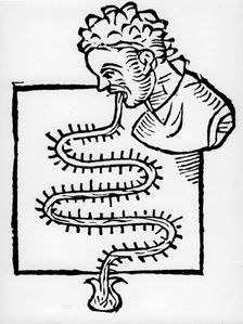 Sanctorius clinical thermometer 1612. Creator: Unknown