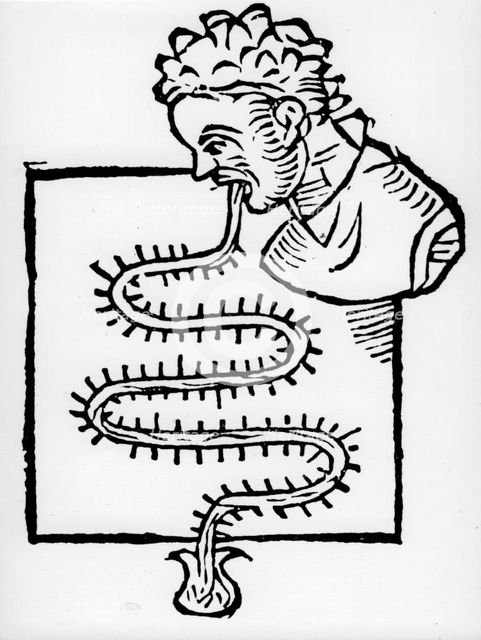 Sanctorius' clinical 'thermometer', 1612. Creator: Unknown.