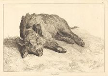 Sanglier (Wild Boar Lying Down, Head to the Left). Creator: Jacques Philippe Le Bas
