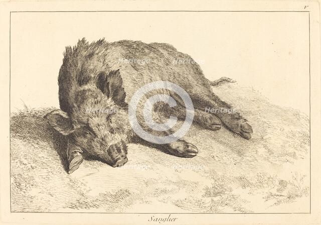 Sanglier (Wild Boar Lying Down, Head to the Left). Creator: Jacques Philippe Le Bas.