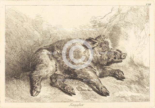 Sanglier (Wild Boar Lying Down, Head to the Right). Creator: Jacques Philippe Le Bas.