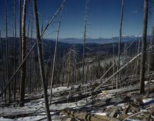 Sangre de Cristo Mountain, New Mexico, 1943. Creator: John Collier