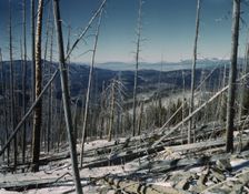 Sangre de Cristo Mountains, looking north into Colorado, 1943. Creator: John Collier