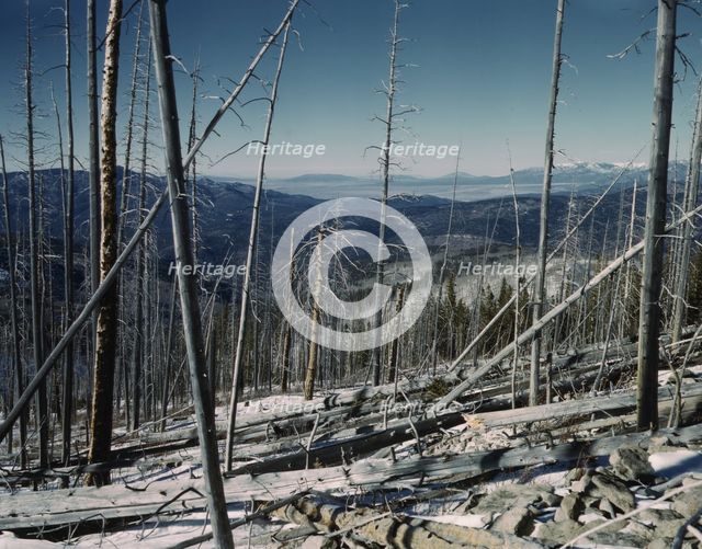 Sangre de Cristo Mountains, looking north into Colorado, 1943. Creator: John Collier.